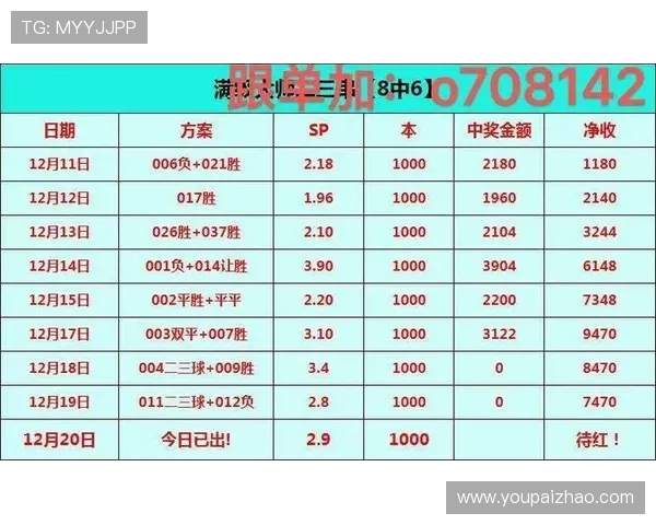 亚博YaBo世界杯下注：如何选择最优的投注方案实现最大盈利