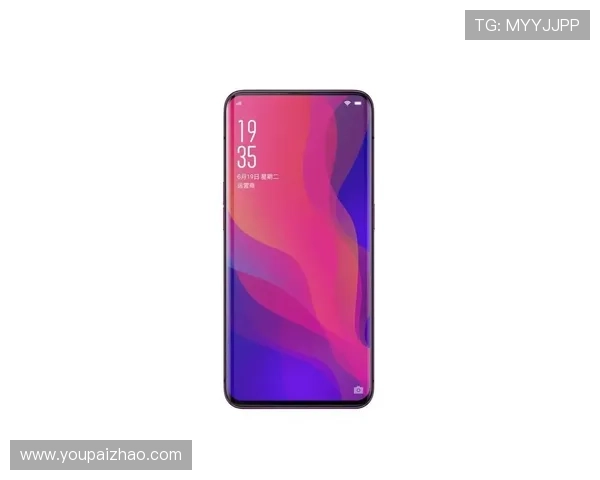 亚星娱乐在线地址手机版登录难题解决方案及优化建议精选