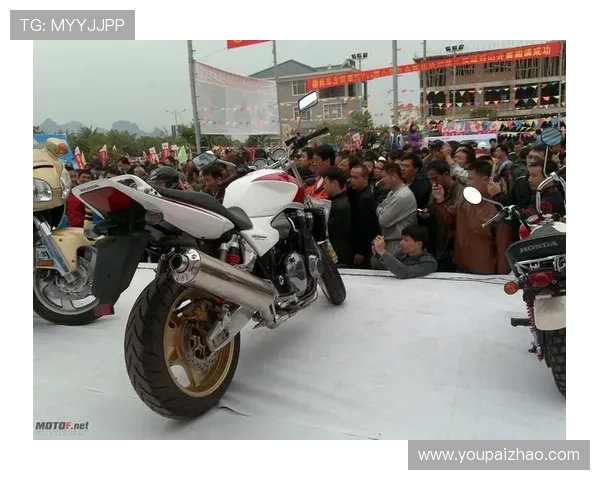 亚星官网会员登录入口常见错误及解决方案，帮助用户快速排查问题