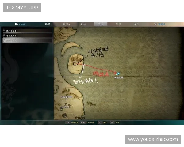 亚星网络百家家乐游戏攻略详解提升你的胜率与盈利能力